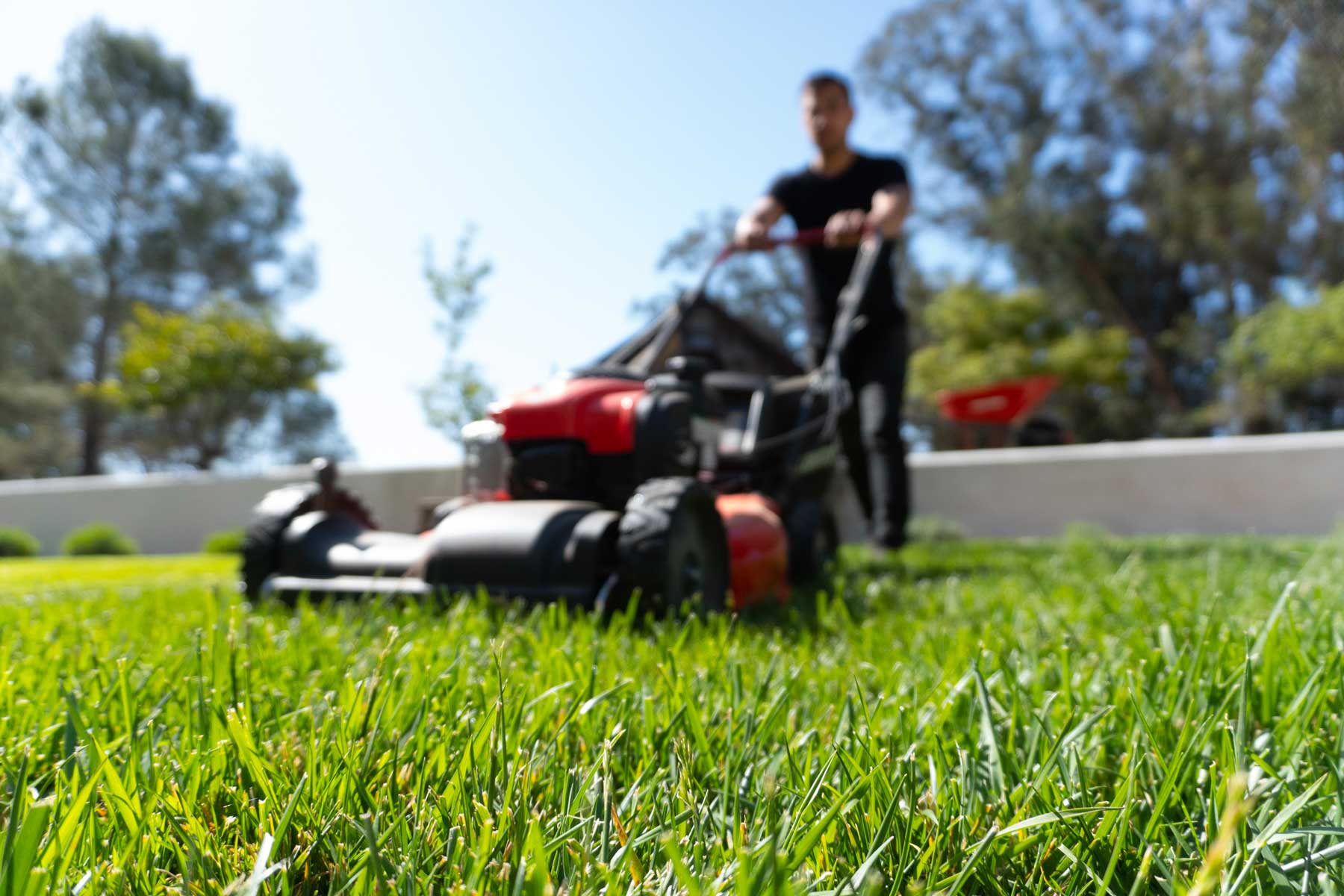 landscape-maintenance-35